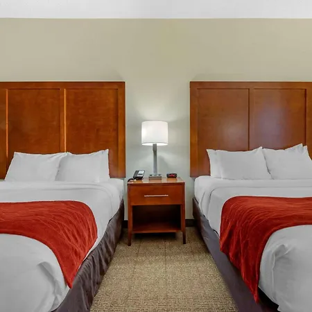 Comfort Inn & Suites Lenoir Hwy 321 Northern Foothills-3